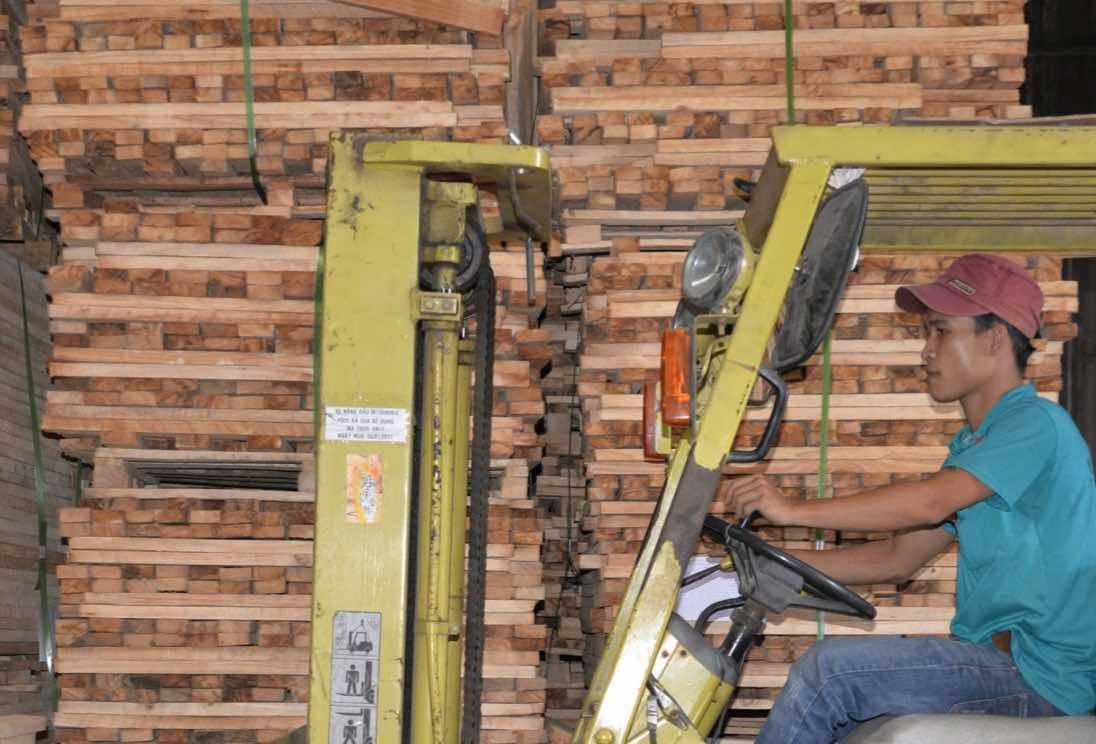 forest WTOcenter.jpg