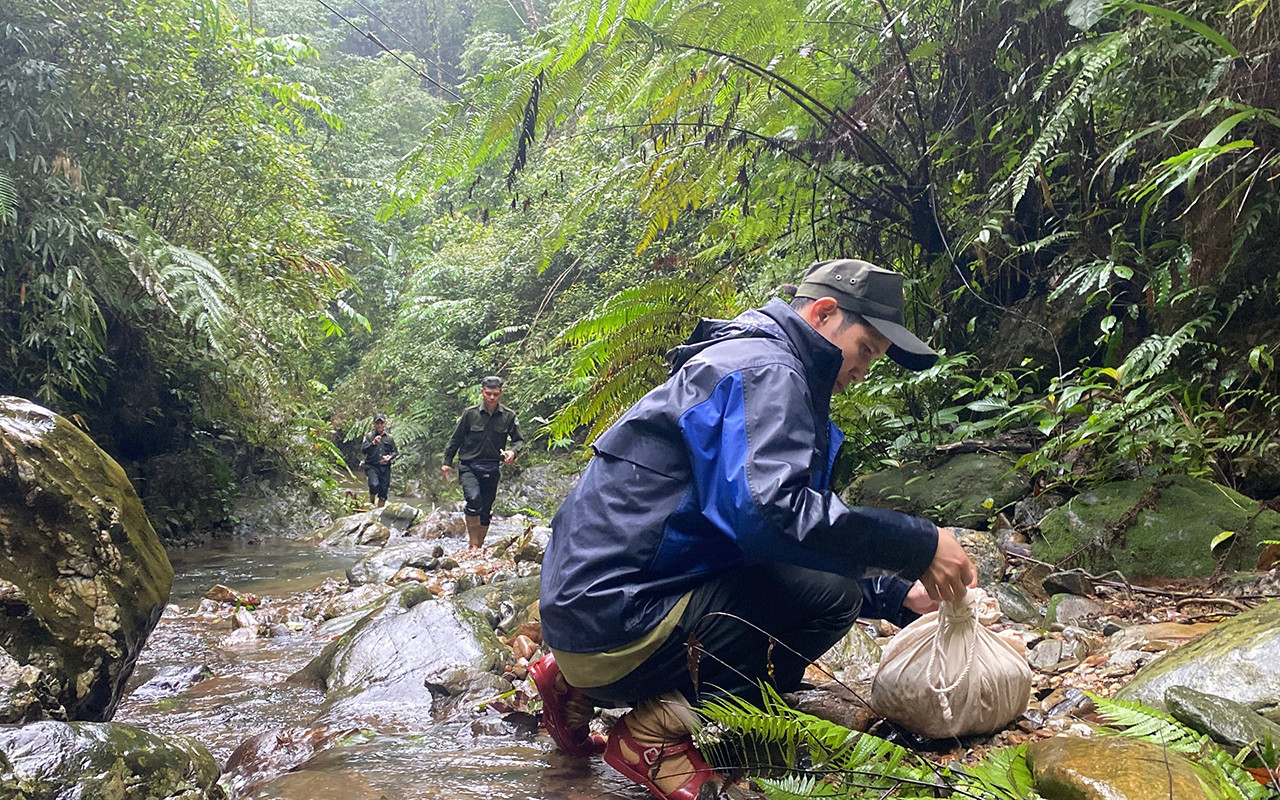 bebcde2d 5233 4b23 a208 080b400f5d34.jpg