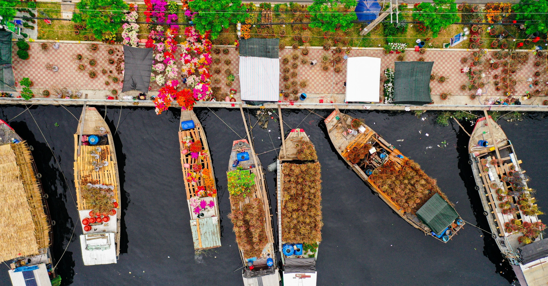 Mekong boats deliver blooms to Ho Chi Minh City’s iconic Tet market