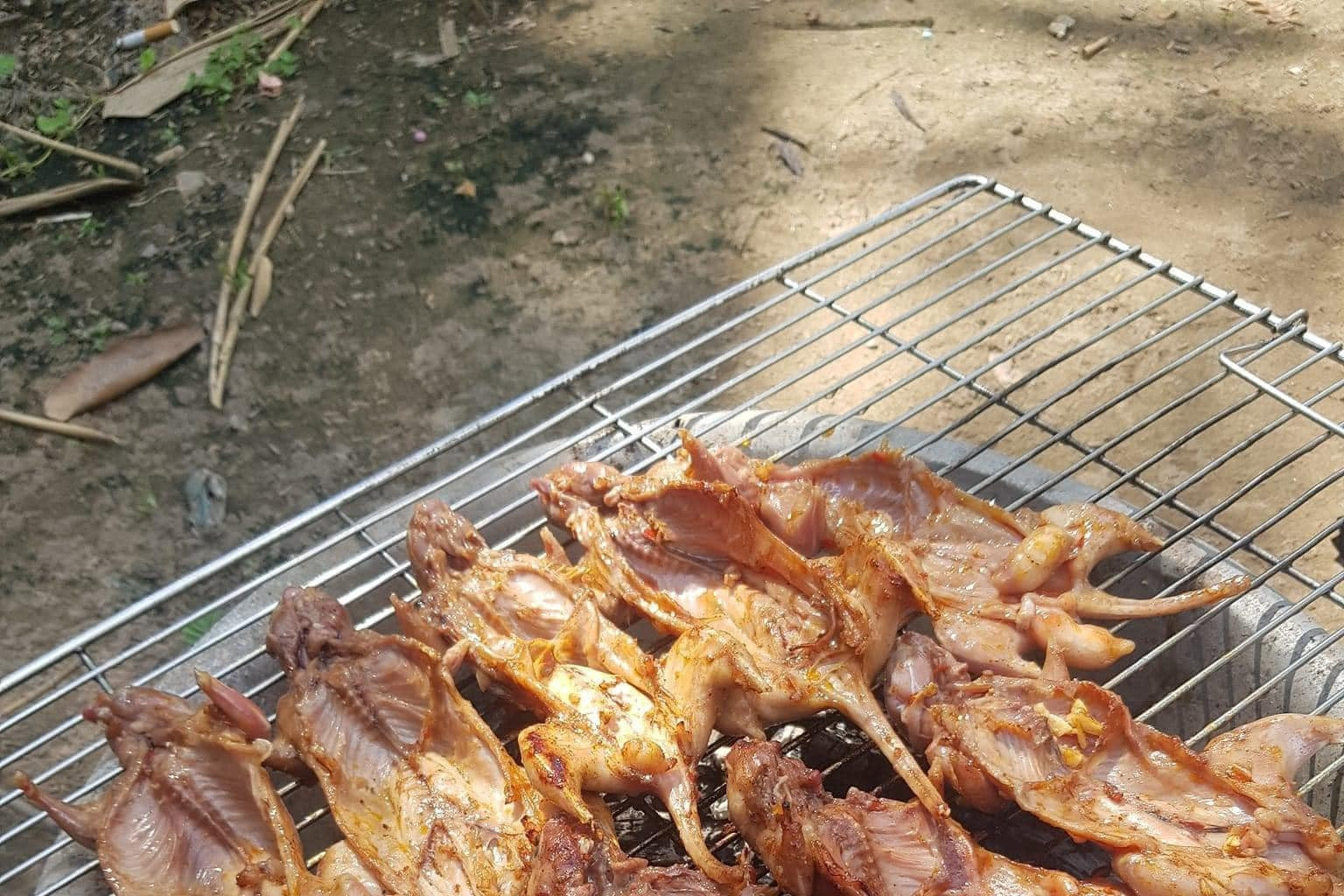 Four-legged specialty in Ben Tre: frightening to look at, delicious to taste