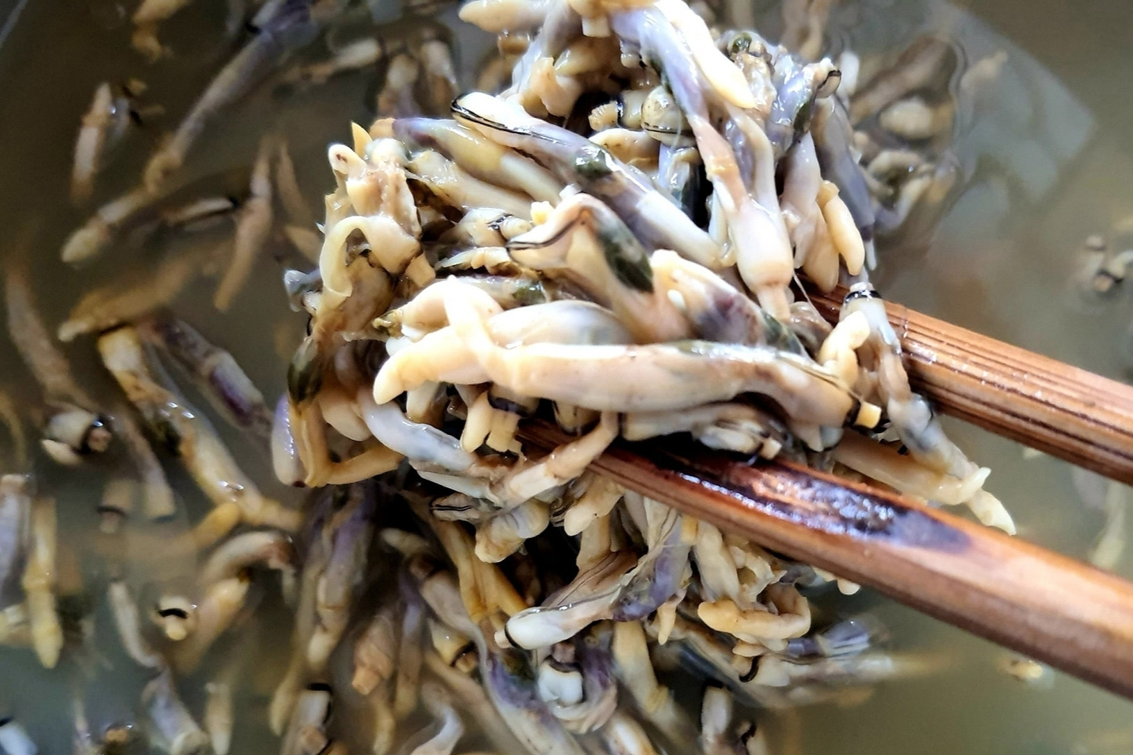 Exploring Thai Binh’s ‘gift from the sea’: Razor clam cuisine