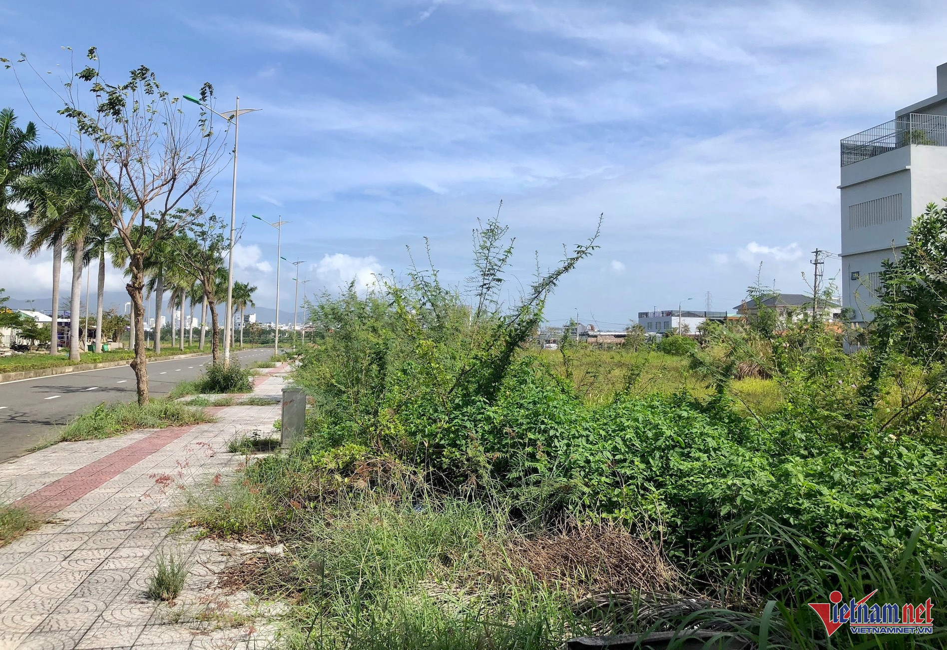 Danangland DieuThuy.jpg