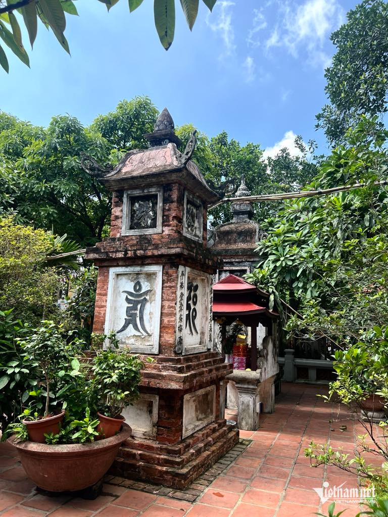 W-Thap co trong vuon chua.jpg