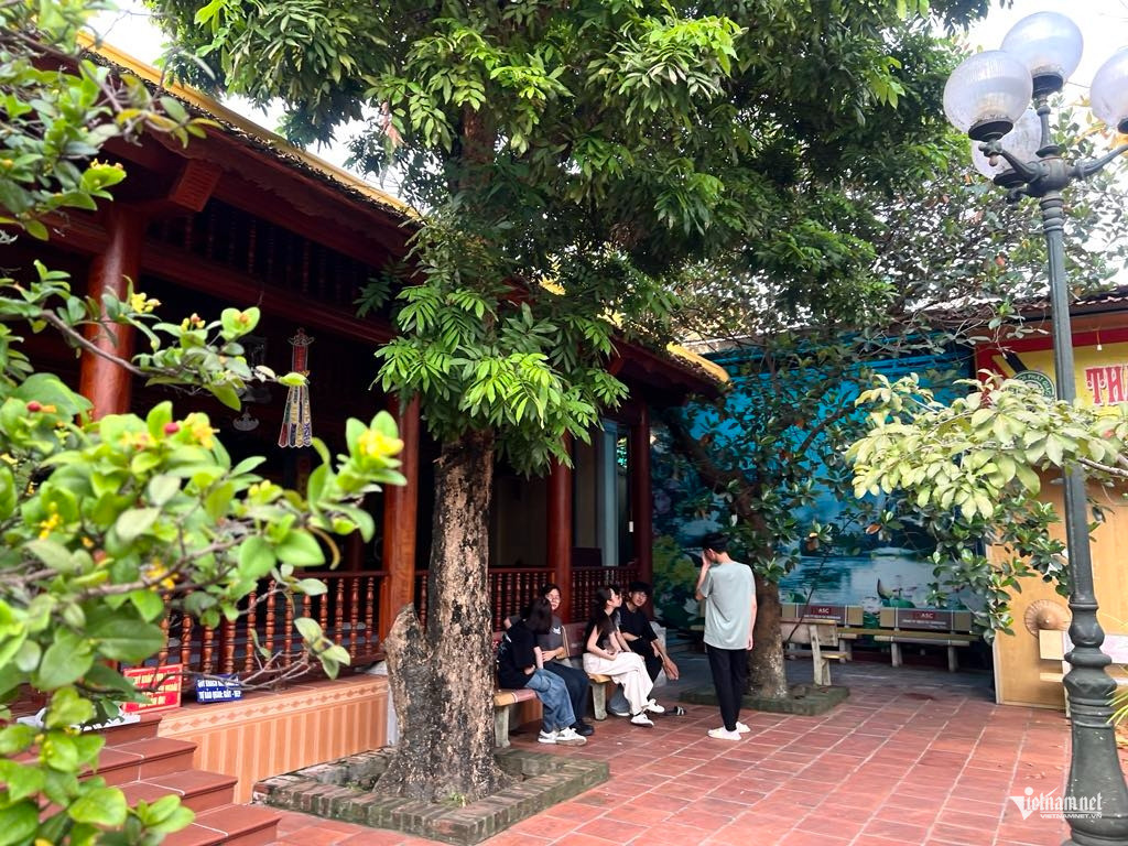 W-Gioi tre tham chua.jpg