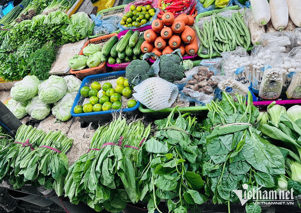 rau sach TamAn (1).png