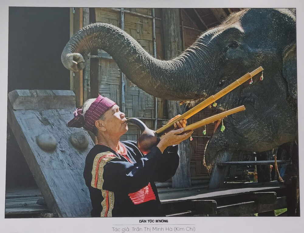 gen h z7095746620058_2b112f0ae78ab30234c362f7274352c3.jpg