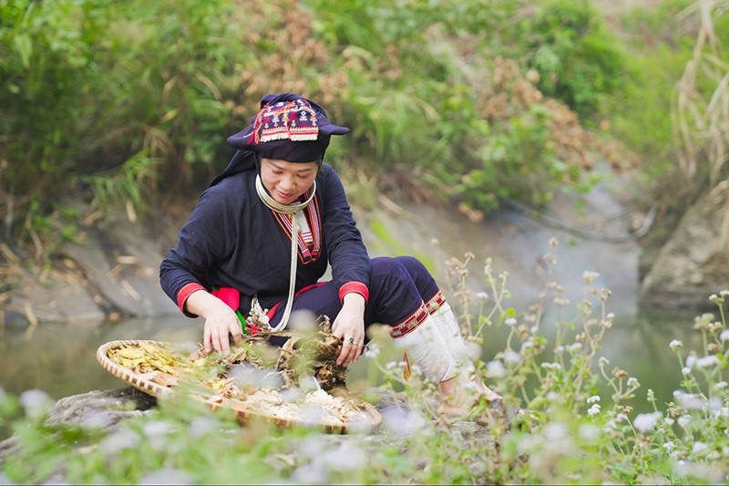 Dao traditional herbalist worries about online impersonation