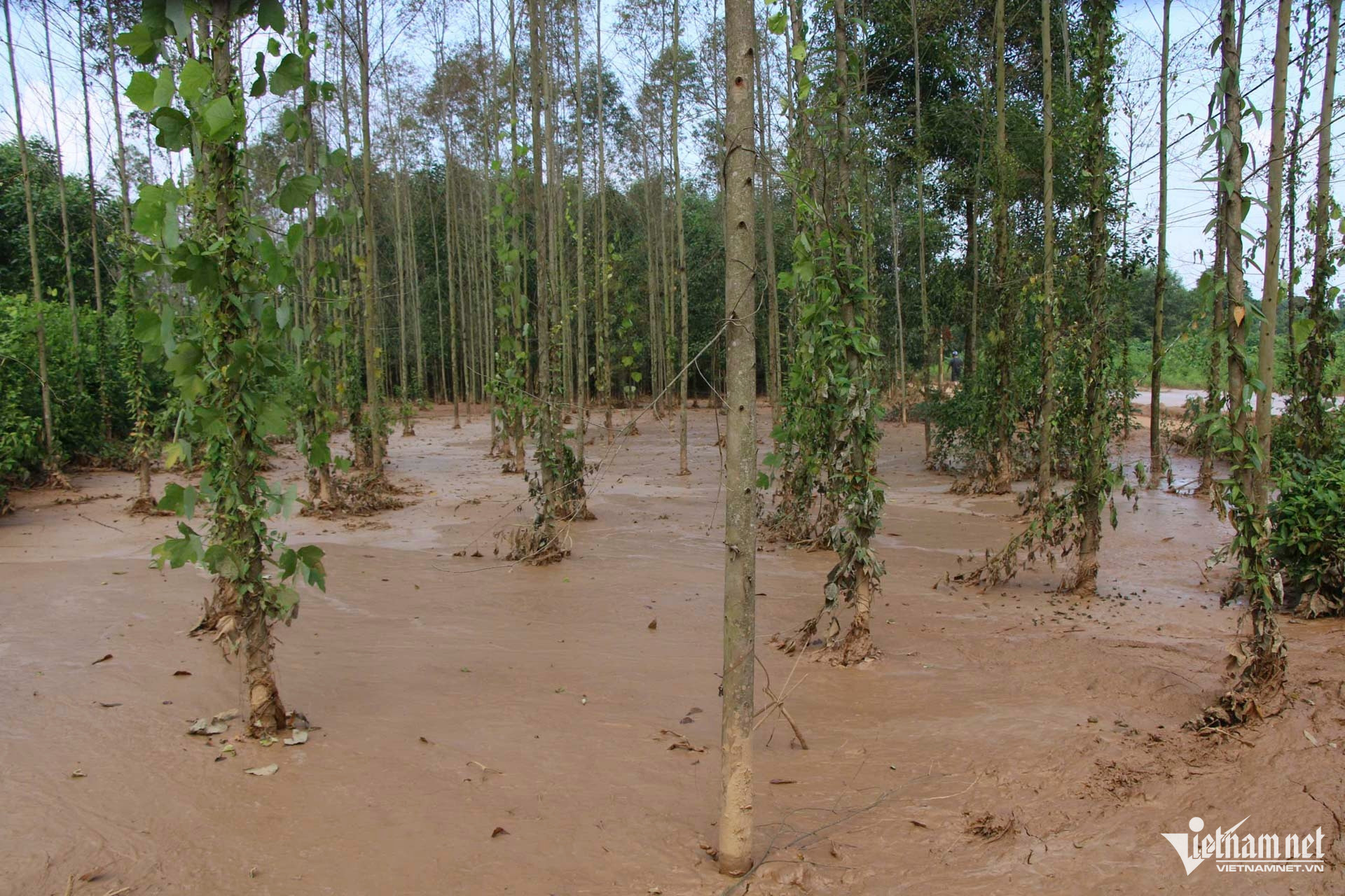 W-dọn dẹp_13.JPG.jpg