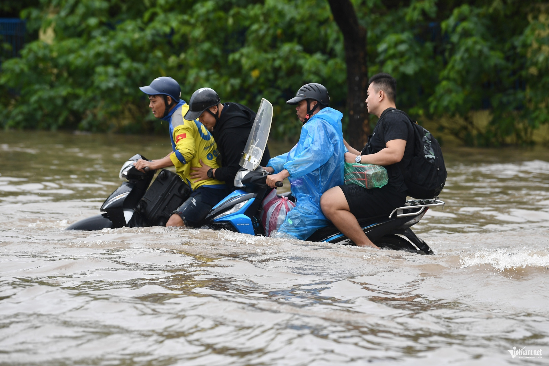 W-ngap sau bao Matmo_HHa124.jpg