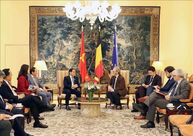 Vietnam, Belgium, EU deepen cooperation across key sectors