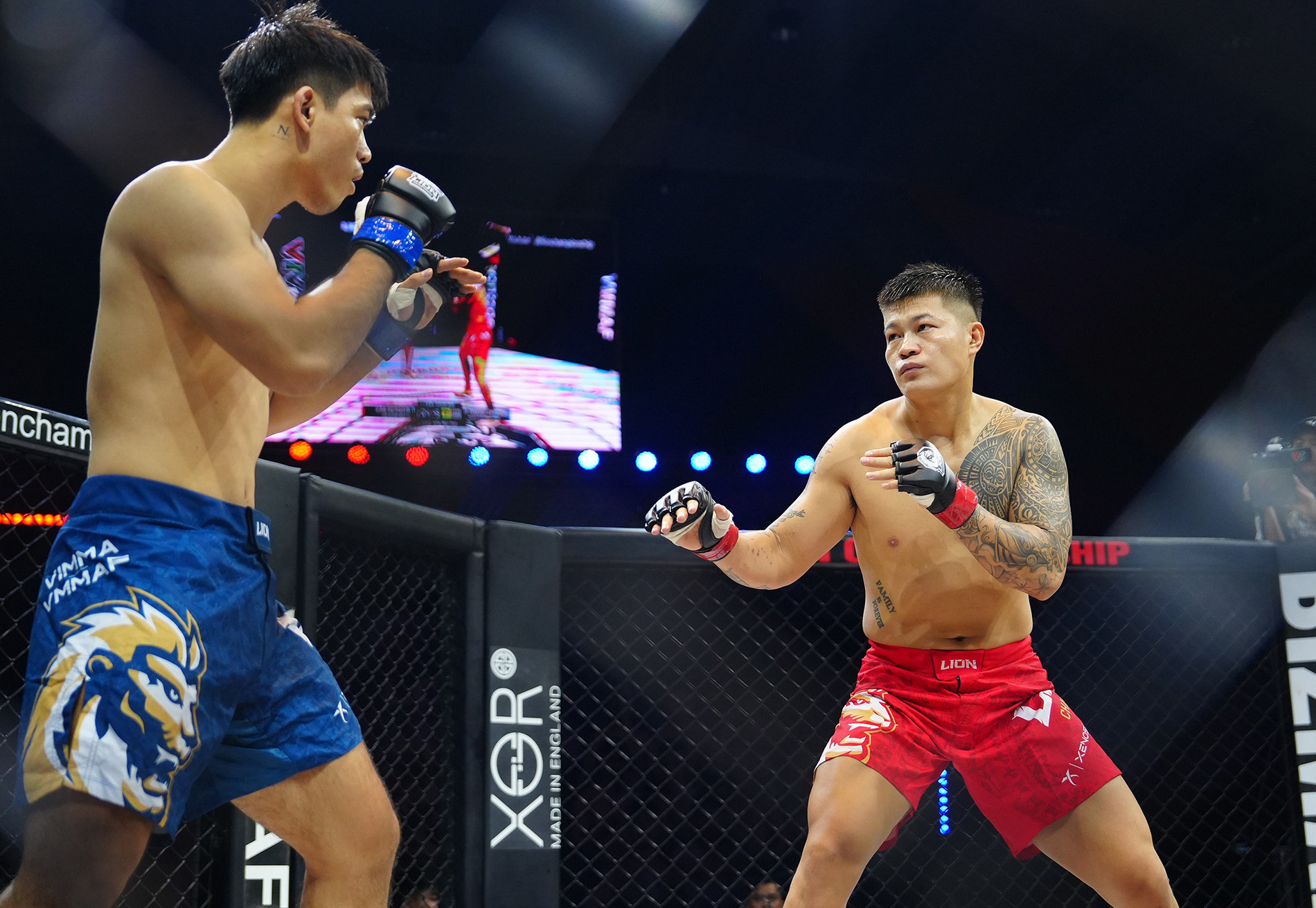 mma viet nam.jpg