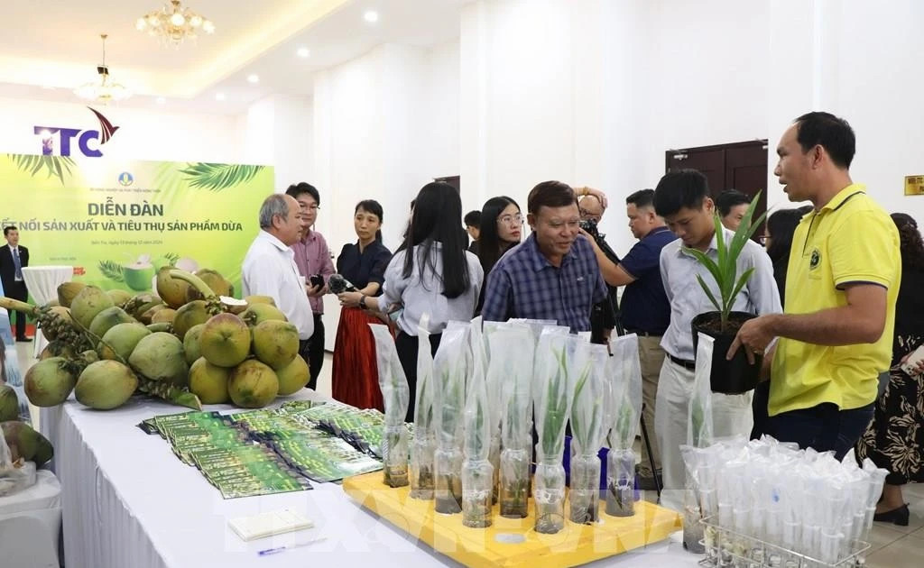 An Giang to host Vietnam – Cambodia production connectivity conference