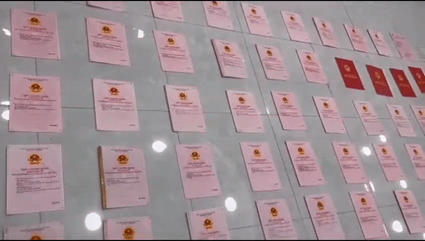 Ngan 98’s safe yields 80 land deeds, cash, cars amid fake food probe