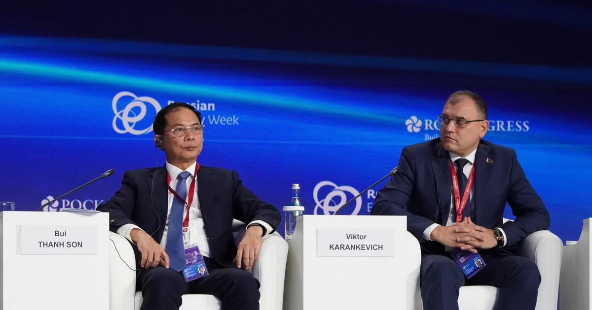 Vietnam joins Russian Energy Week 2025 to foster energy cooperation