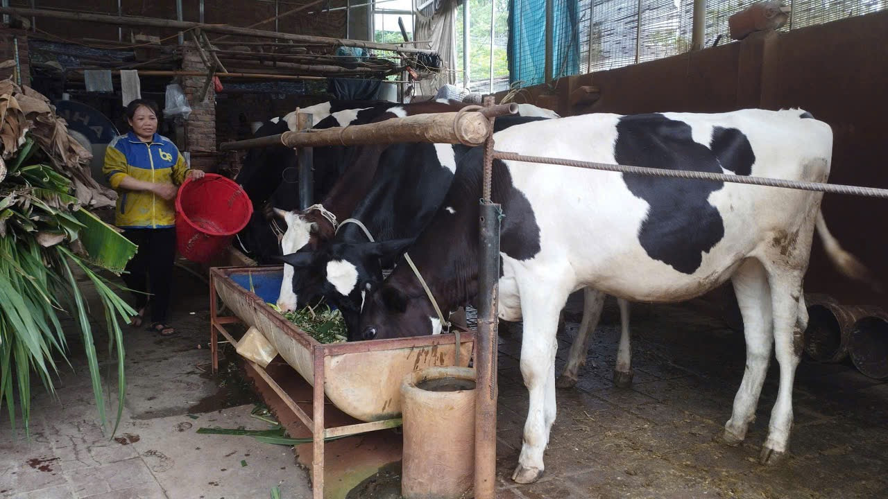 thu mua milk KV.jpeg