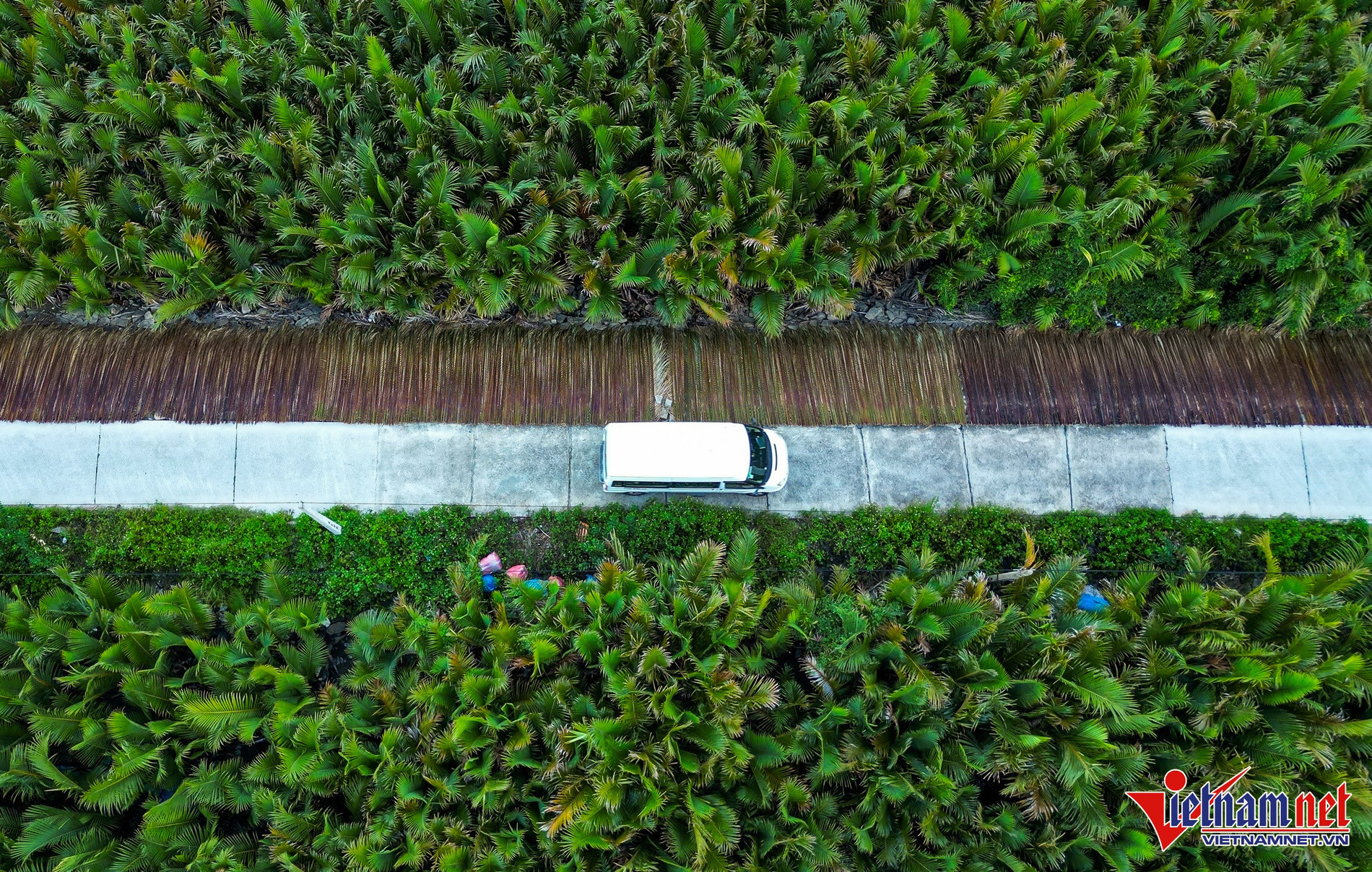 vietnam village cam thanh8.jpg