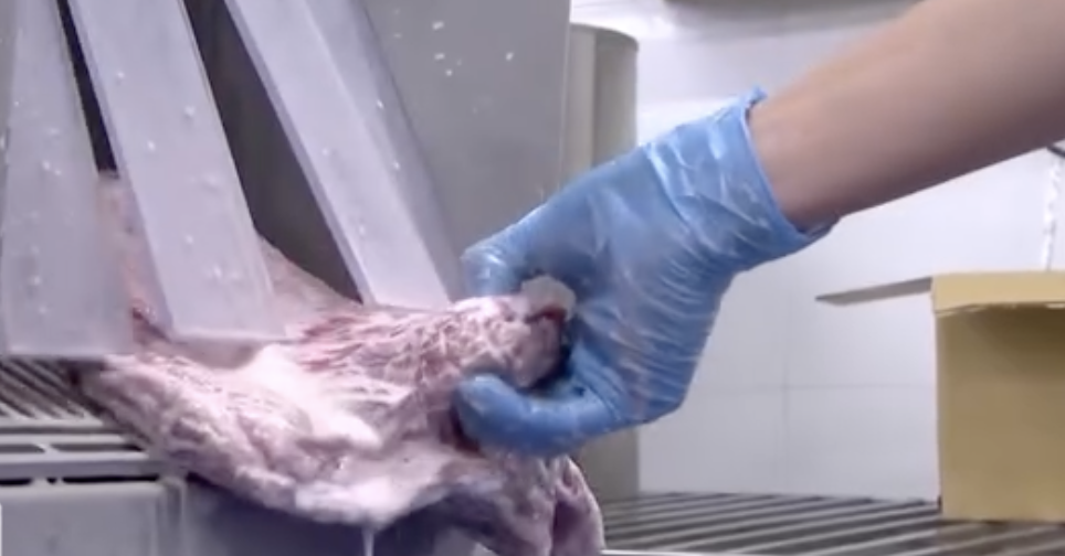 Buffalo to Wagyu: Meat fraud operation makes massive illegal profits