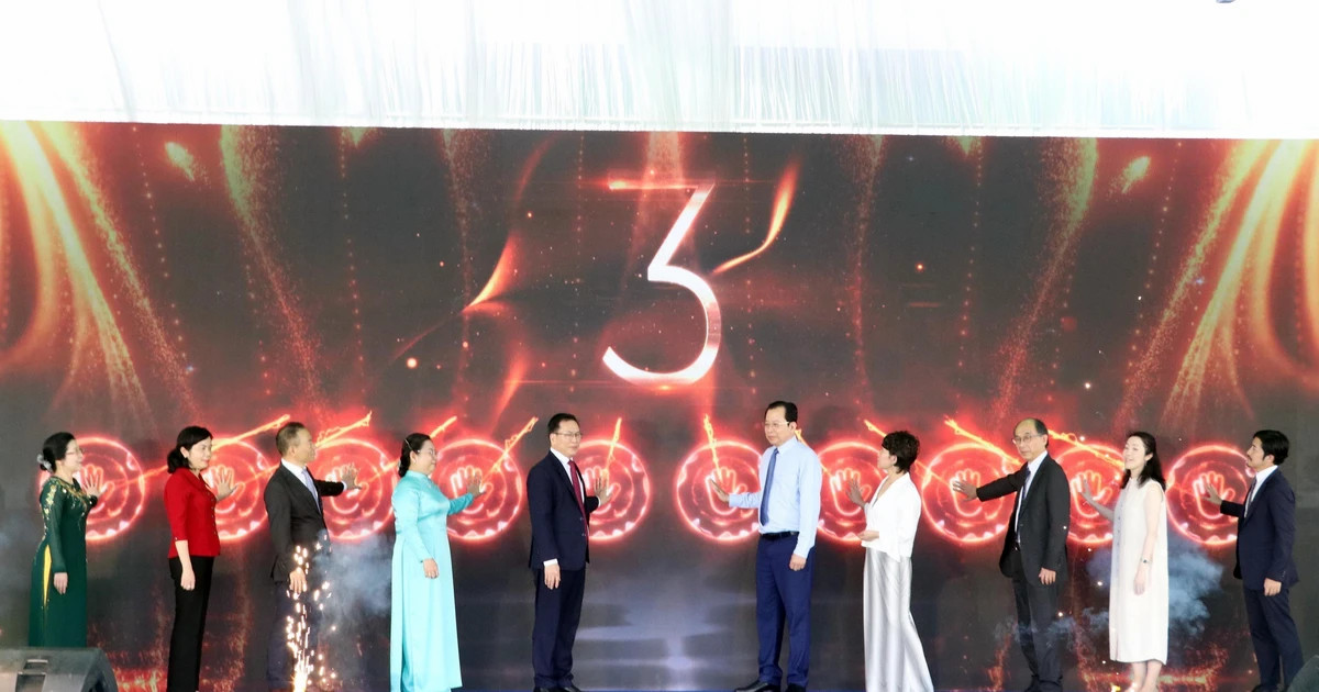 First Japanese vocational skills school in Mekong Delta inaugurated