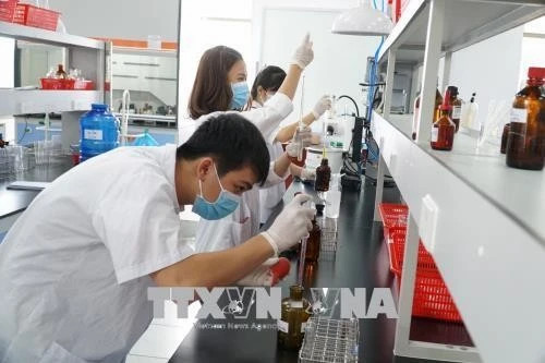 Vietnam’s fertility plummets, workforce quality concerns mount: national survey