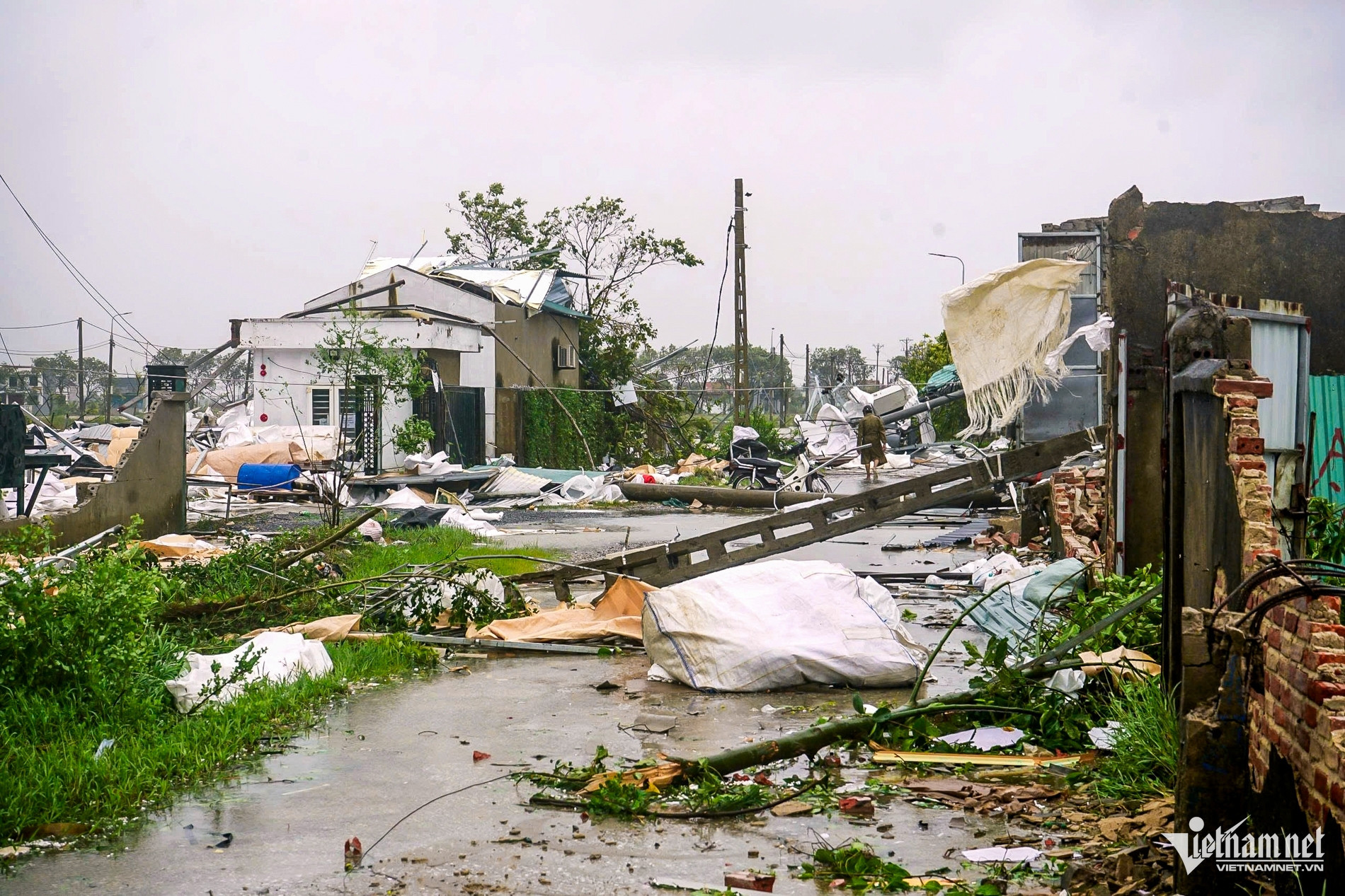 w le duong 1 4141.jpg