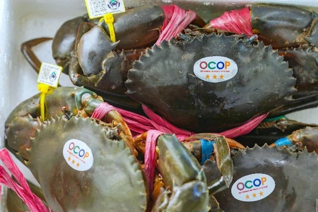 Ca Mau launches crab festival to boost tourism and seafood branding