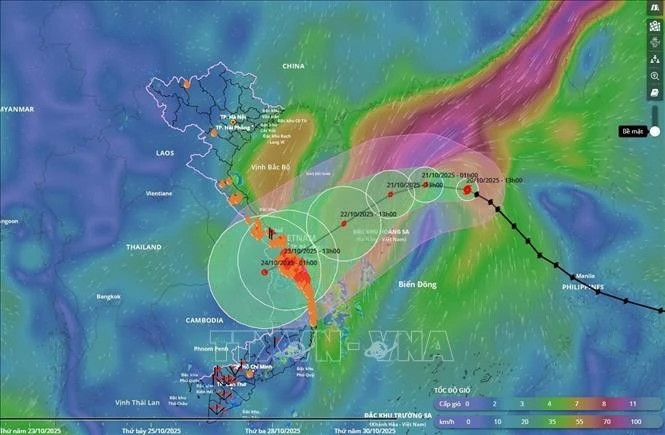 PM directs urgent measures to brace for Typhoon Fengshen