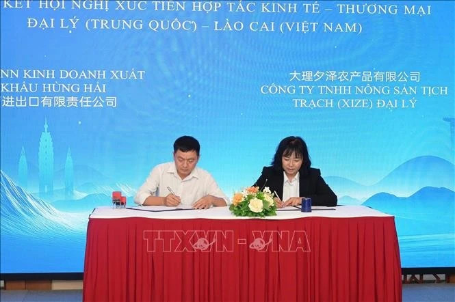 Lao Cai, China’s Dali prefecture step up economic, trade cooperation