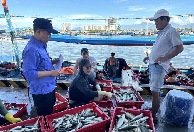 Vietnam launches action plan for peak month against illegal fishing