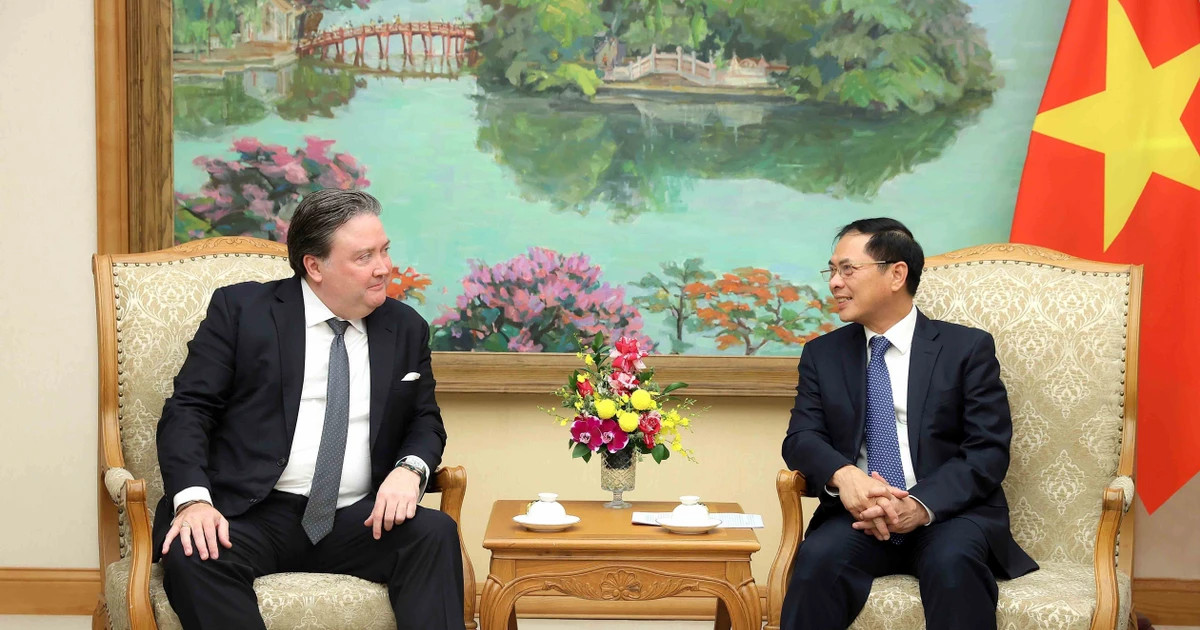 Deputy PM Bui Thanh Son receives US Ambassador E. Knapper
