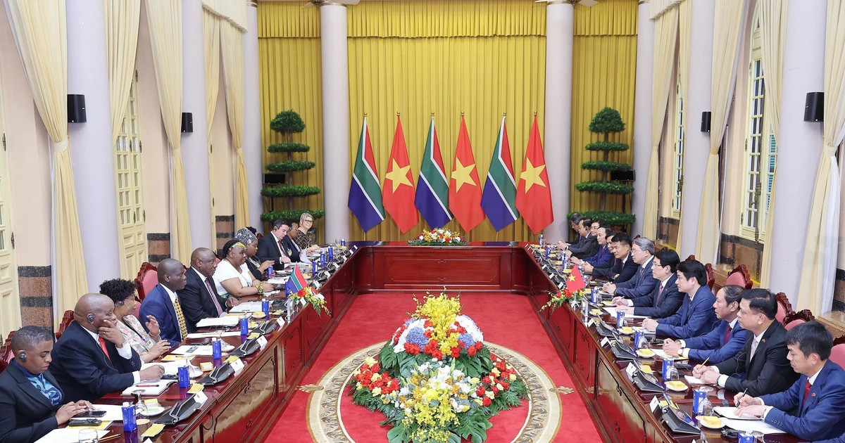 Vietnam treasures relations with South Africa: State President
