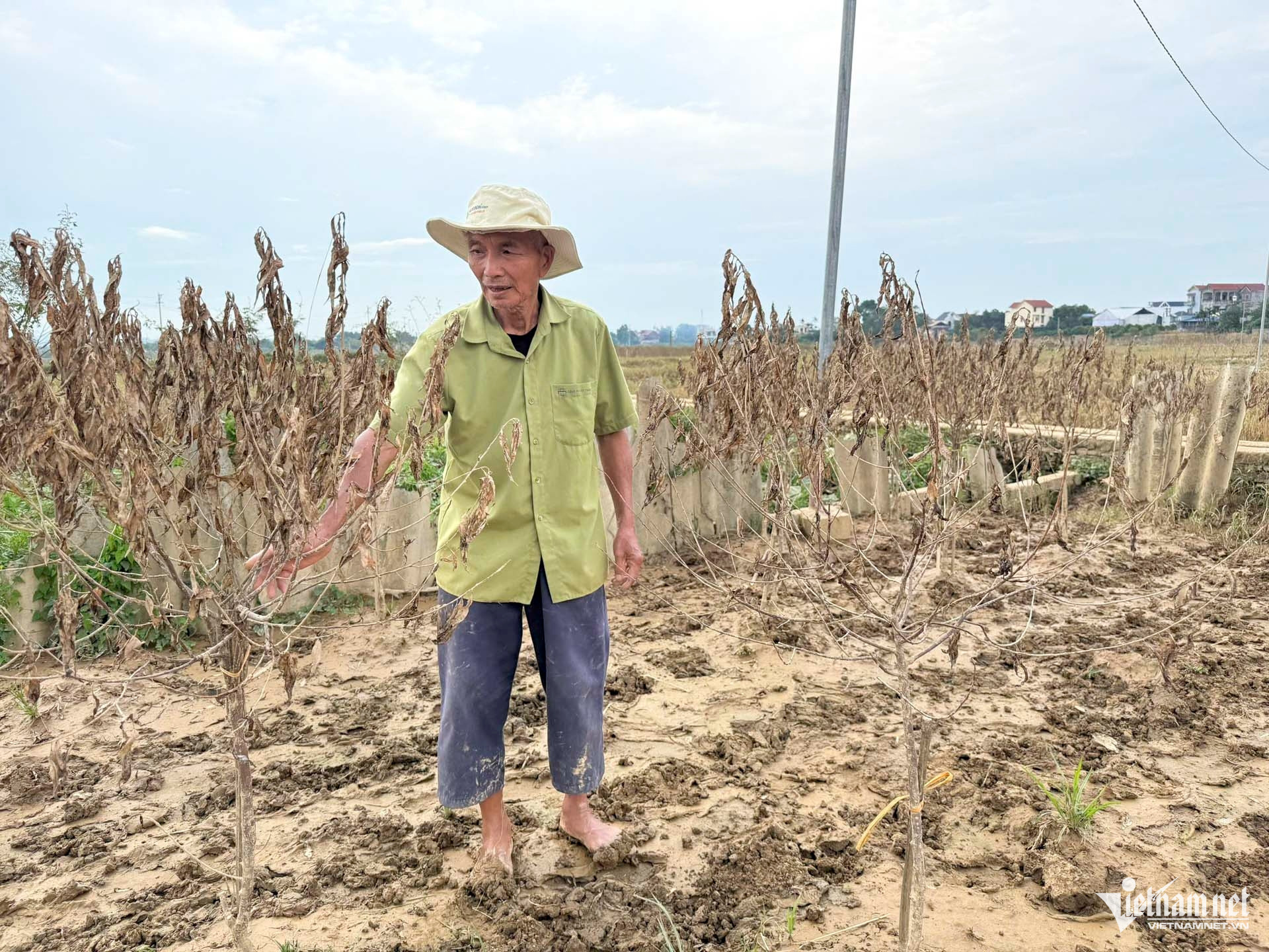 W-làng đào thái nguyên.JPG.jpg