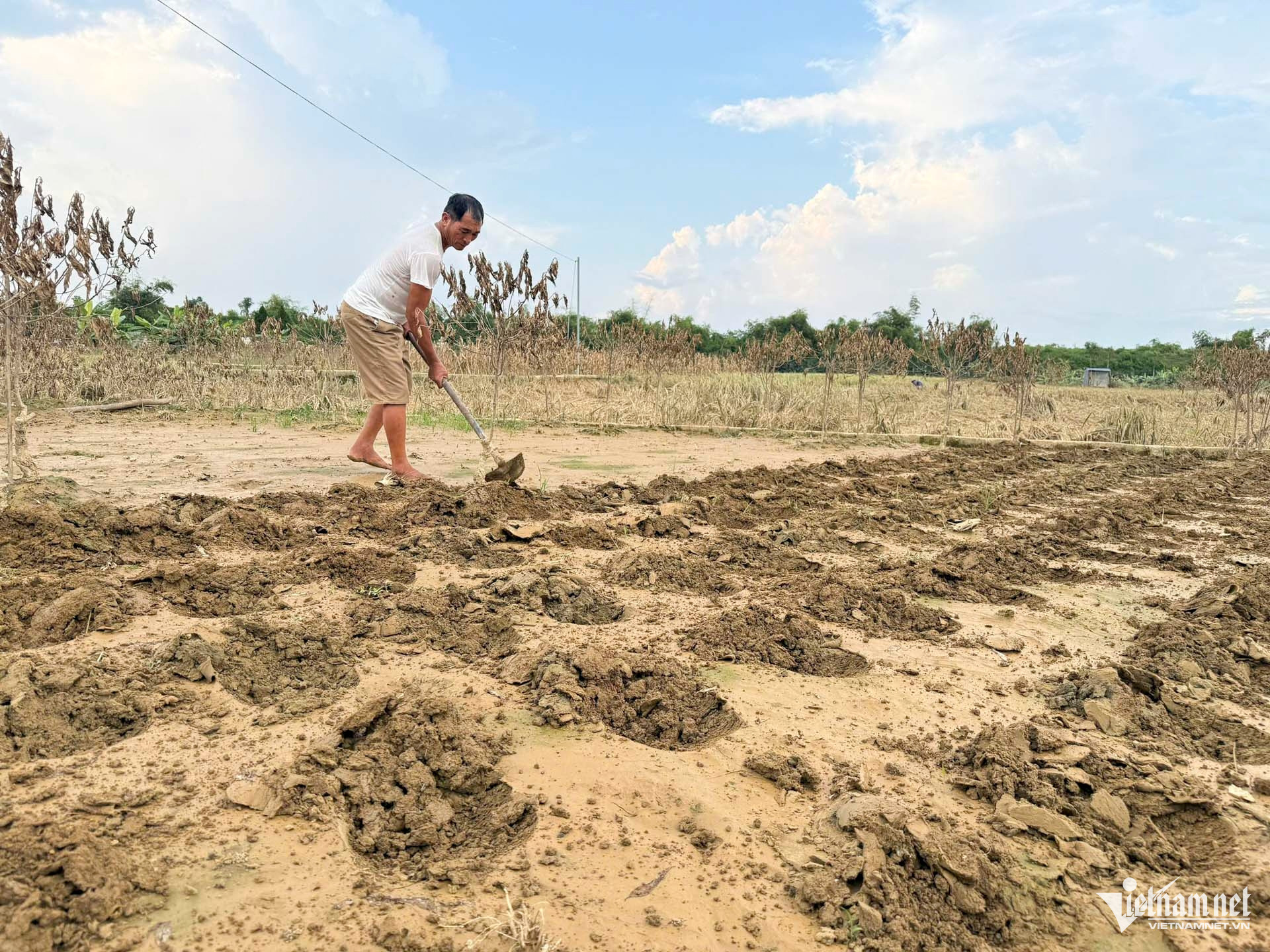 W-làng đào thái nguyên_1.JPG.jpg