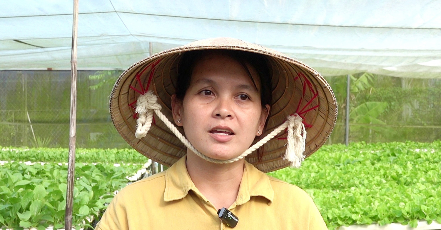 Organic dream: Can Tho woman pioneers digital agriculture