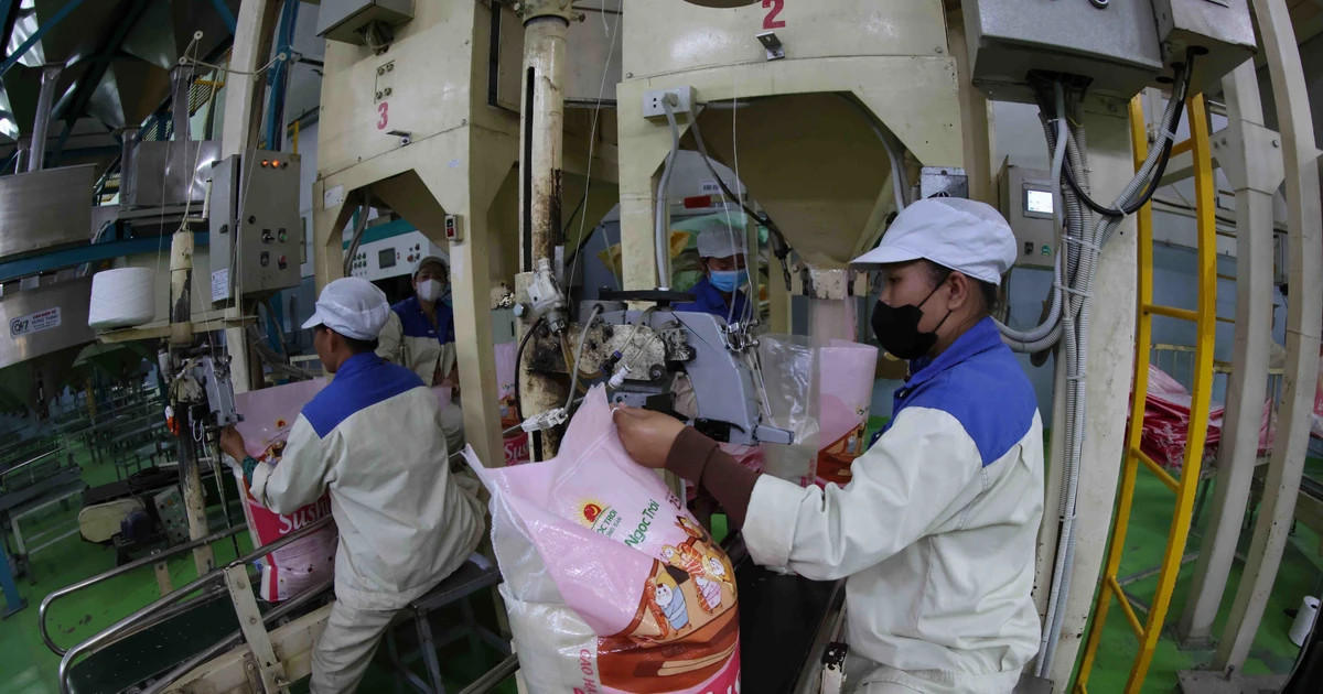 Vietnam approves content of MoU on rice trade cooperation with Singapore