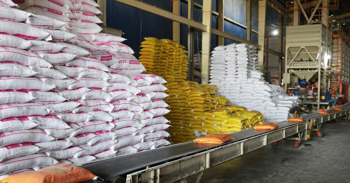 Vietnam exports 7 million tonnes of rice, earning nearly 3.59 billion USD