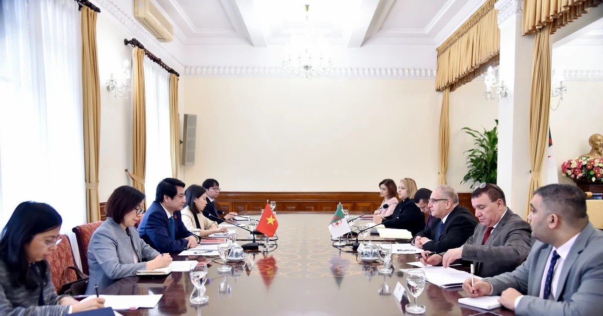 Vietnam, Algeria hold fourth political consultation