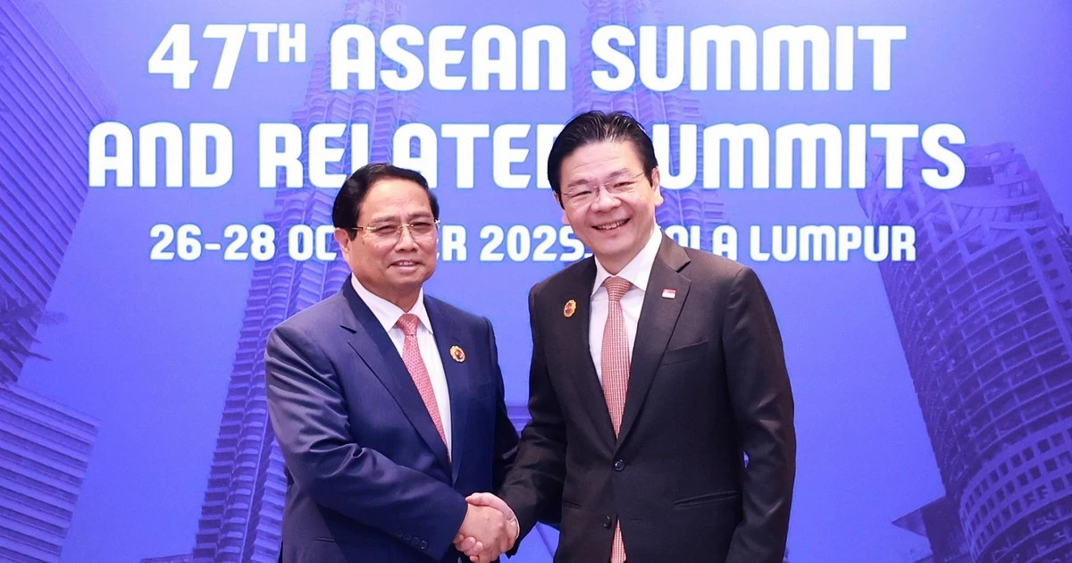 Vietnamese, Singaporean PMs hold second annual meeting