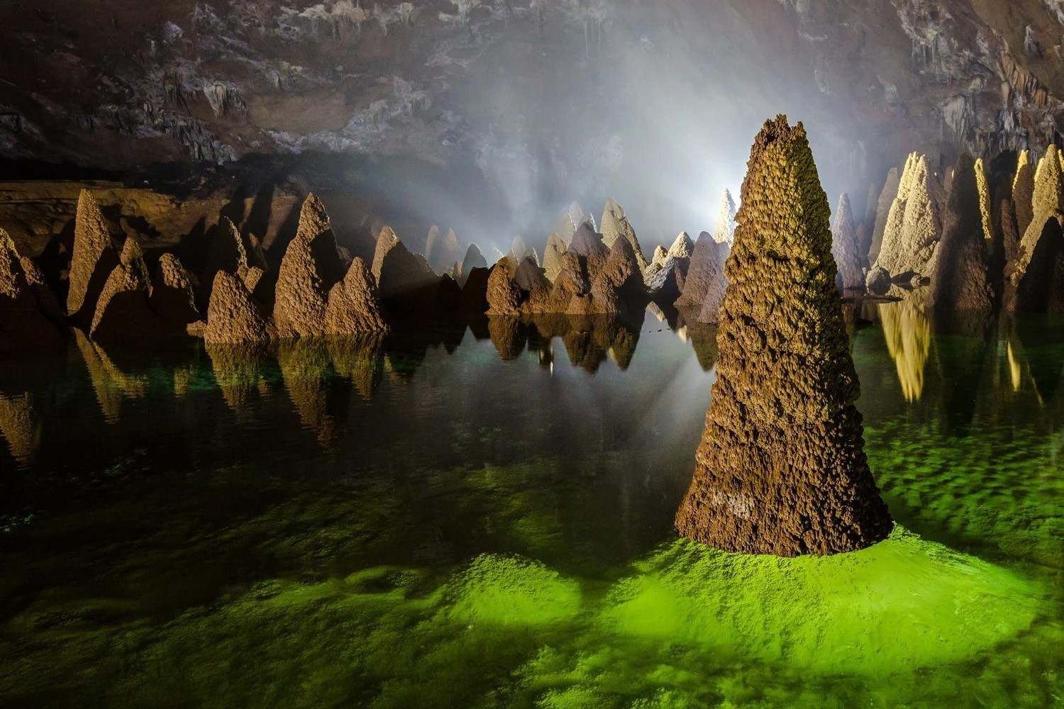 World travel awards help Vietnam’s ecotourism take flight