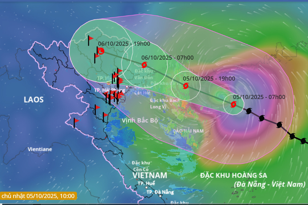 bao so 11 sang 5 10 moi.jpg