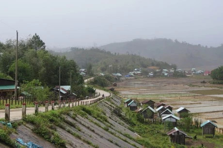 4.9-magnitude earthquake strikes Quang Ngai, low disaster risk reported