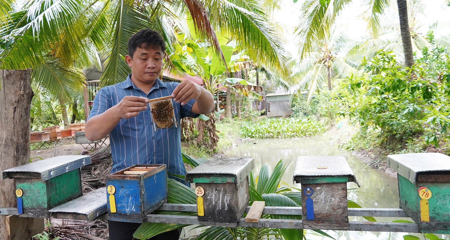 Can Tho's 9X entrepreneur turns bees into gold with organic farming