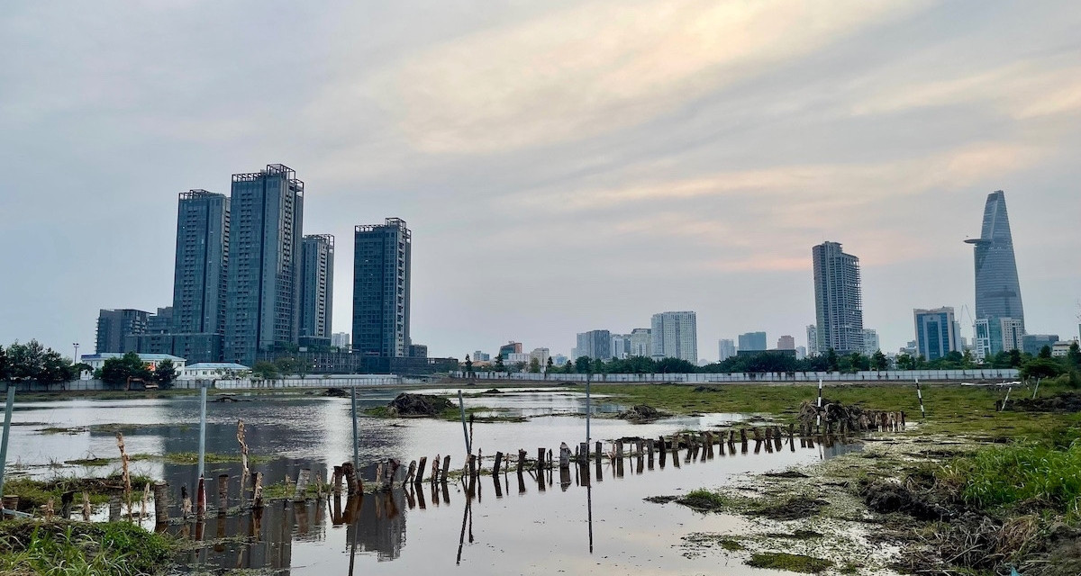 Vietnam warned not to bend over backwards for foreign investors