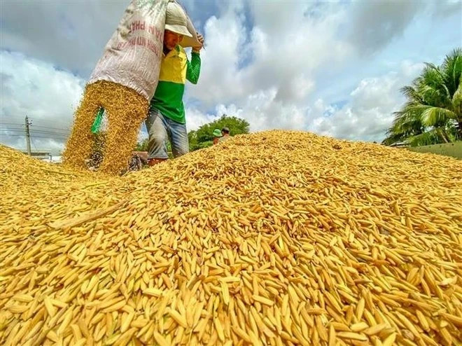 Agro-forestry-fishery exports eye record for 2025: Deputy Minister