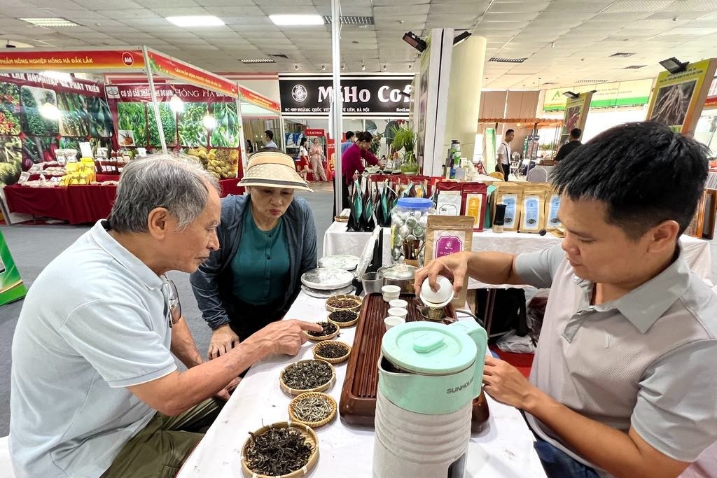 Man brings ancient tea from Tay Con Linh mountain to the US