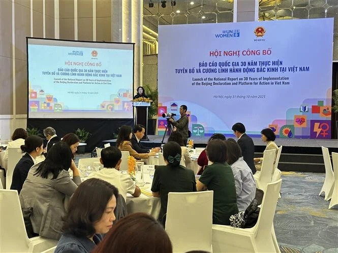 Vietnam resolves to promote gender equality through legal reform: report