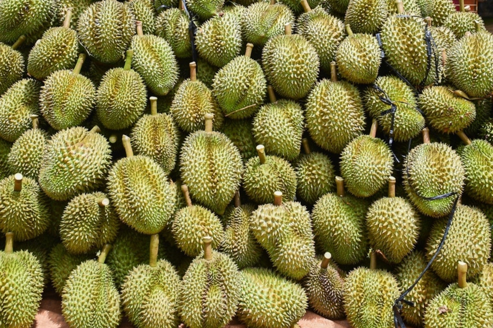 17 individuals prosecuted over durian export violations