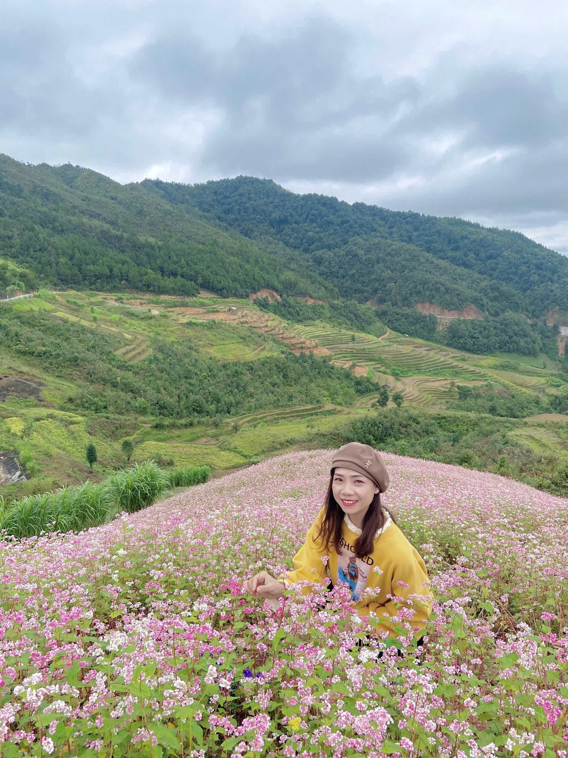 hoa đào lô lô chải