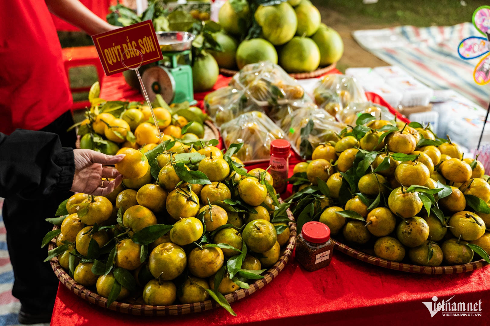 vietnam tourism10.jpg