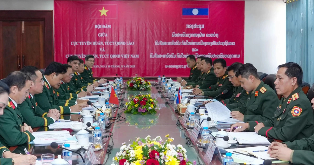 Vietnamese, Lao armies discuss political education