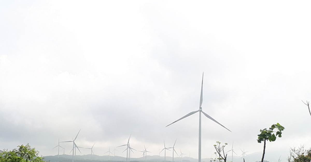 Wind power companies on brink as dispatch restrictions threaten revenue